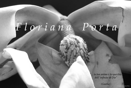 Floriana Porta - Goethe